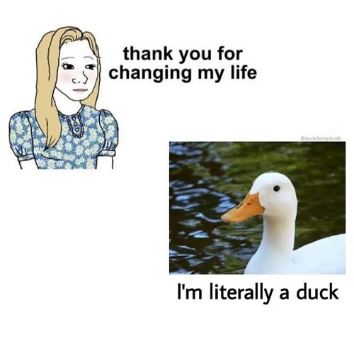 duck changes lives.jpg